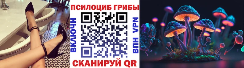 Купить где  Острогожск  Псилоцибиновые грибы MAGIC MUSHROOMS 