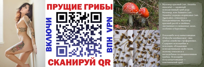 Псилоцибиновые грибы MAGIC MUSHROOMS Острогожск